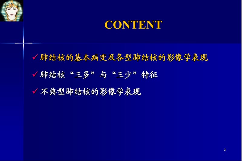 肺结核的影像学诊断ppt课件_第3页