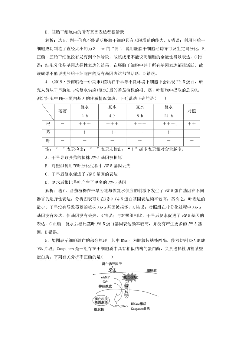 人教通用版2020版高考生物新探究大一轮复习第14讲细胞的分化衰老凋亡及癌变检测含解析.doc_第2页