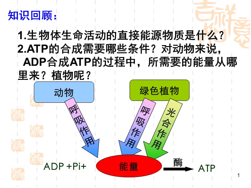 必修一细胞呼吸ppt课件_第1页