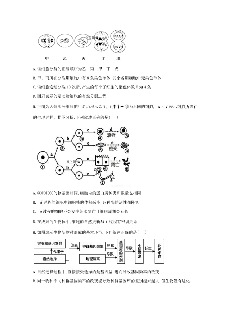 2018-2019学年高二生物上学期期末考试试卷(无答案).doc_第2页