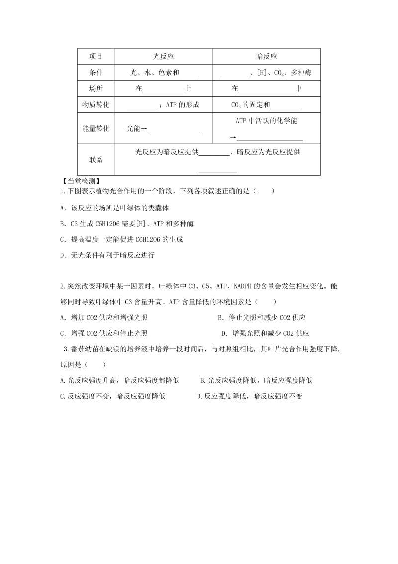 四川省成都市高中生物 第五章 细胞的能量供应和利用 5.4 光合作用2导学案新人教版必修1.doc_第2页