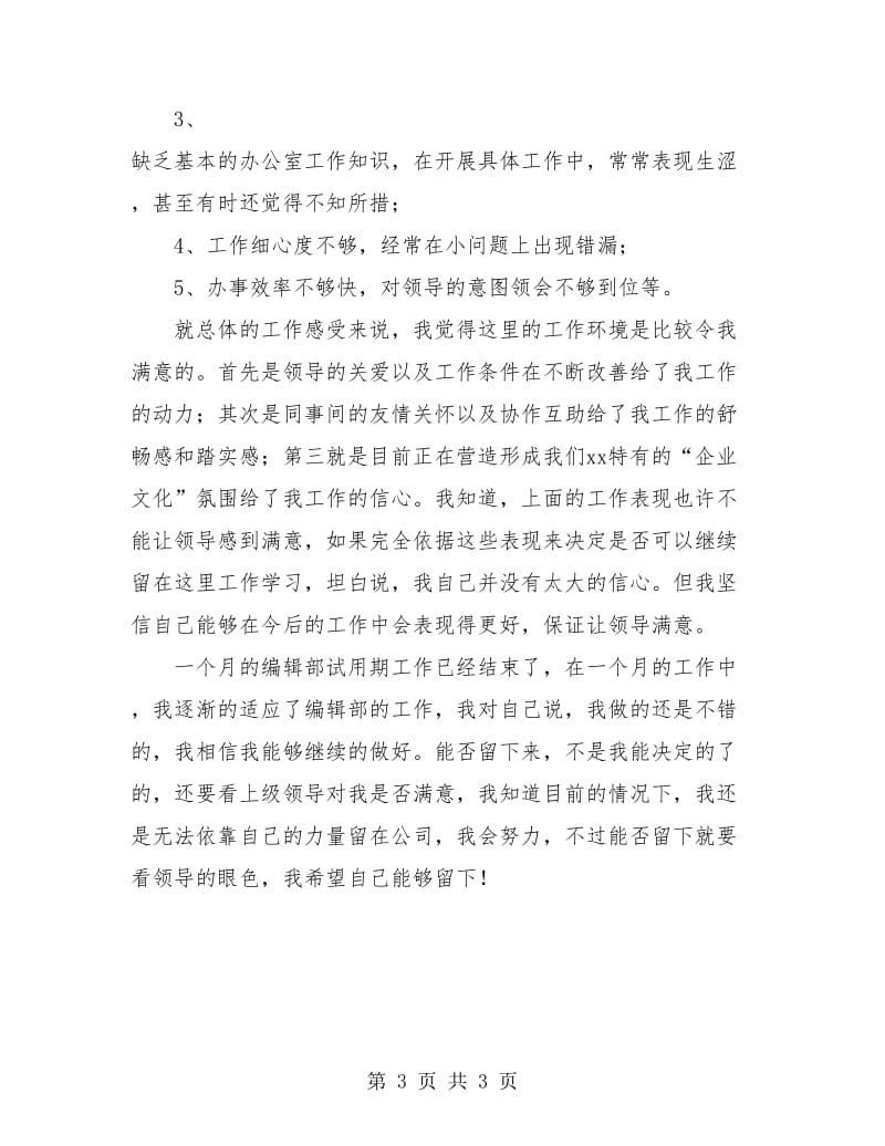 编辑部人员试用期工作总结.doc_第3页