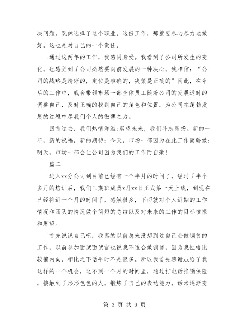 销售员年终个人工作总结(三篇).doc_第3页