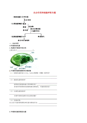 北京市高考生物一輪復(fù)習(xí) 例題講解 專(zhuān)題 光合作用和細(xì)胞呼吸學(xué)案.doc