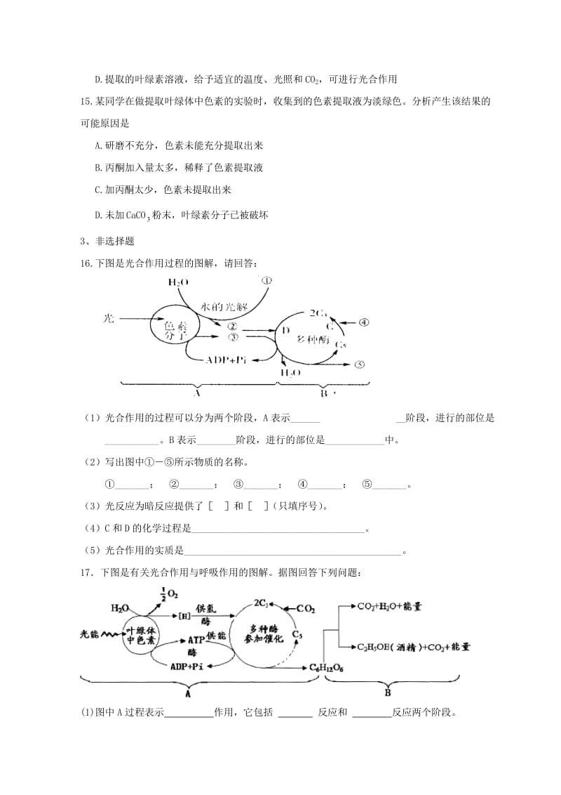 高中生物 第五章 细胞的能量供应和利用 第4节 能量之源——光与光合作用练习新人教版必修1.doc_第3页