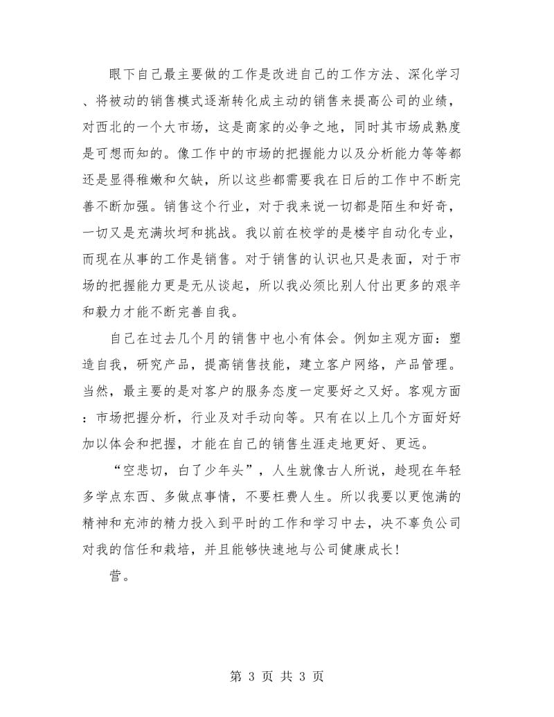 销售新员工试用期工作总结.doc_第3页