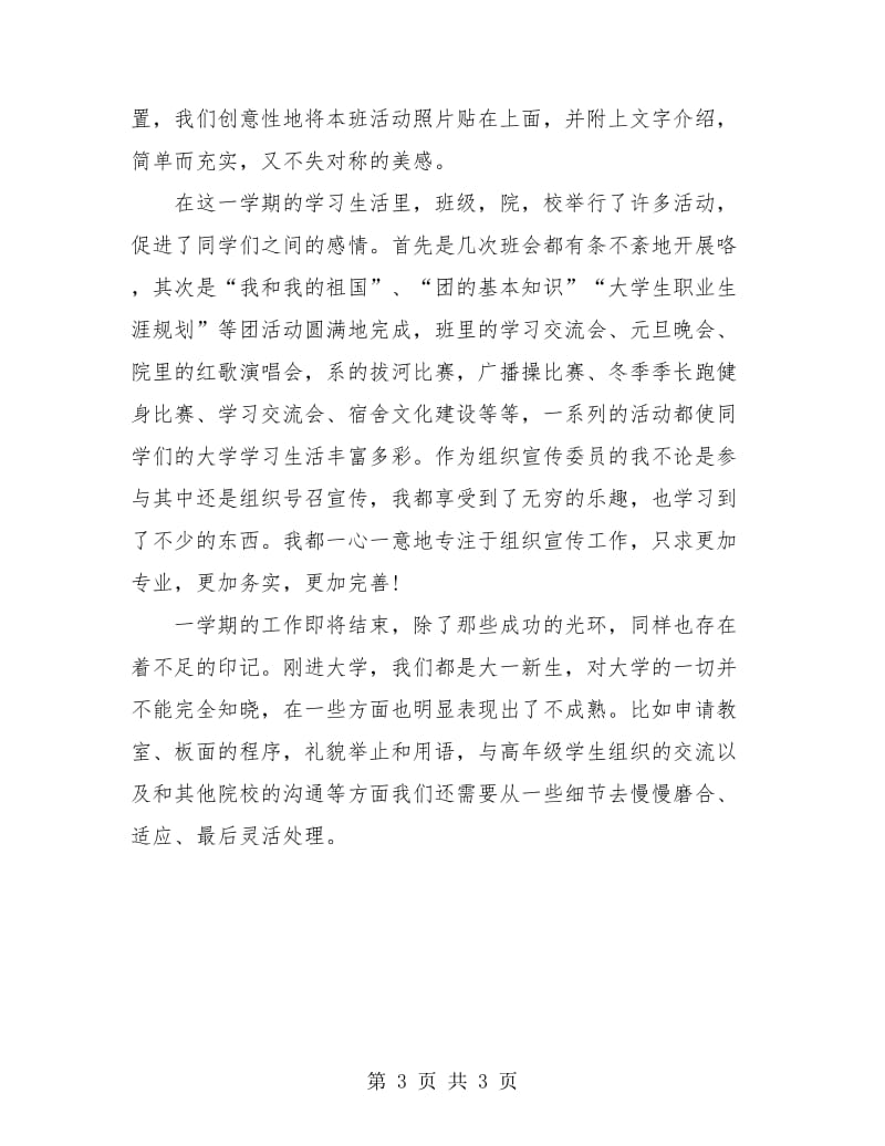 组织宣传委员年终总结.doc_第3页