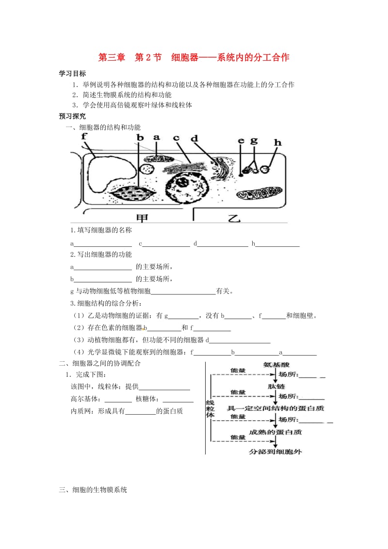 山东省平邑县高中生物 第三章 细胞的基本结构 第2节 细胞器——系统内的分工合作学案新人教版必修1.doc_第1页