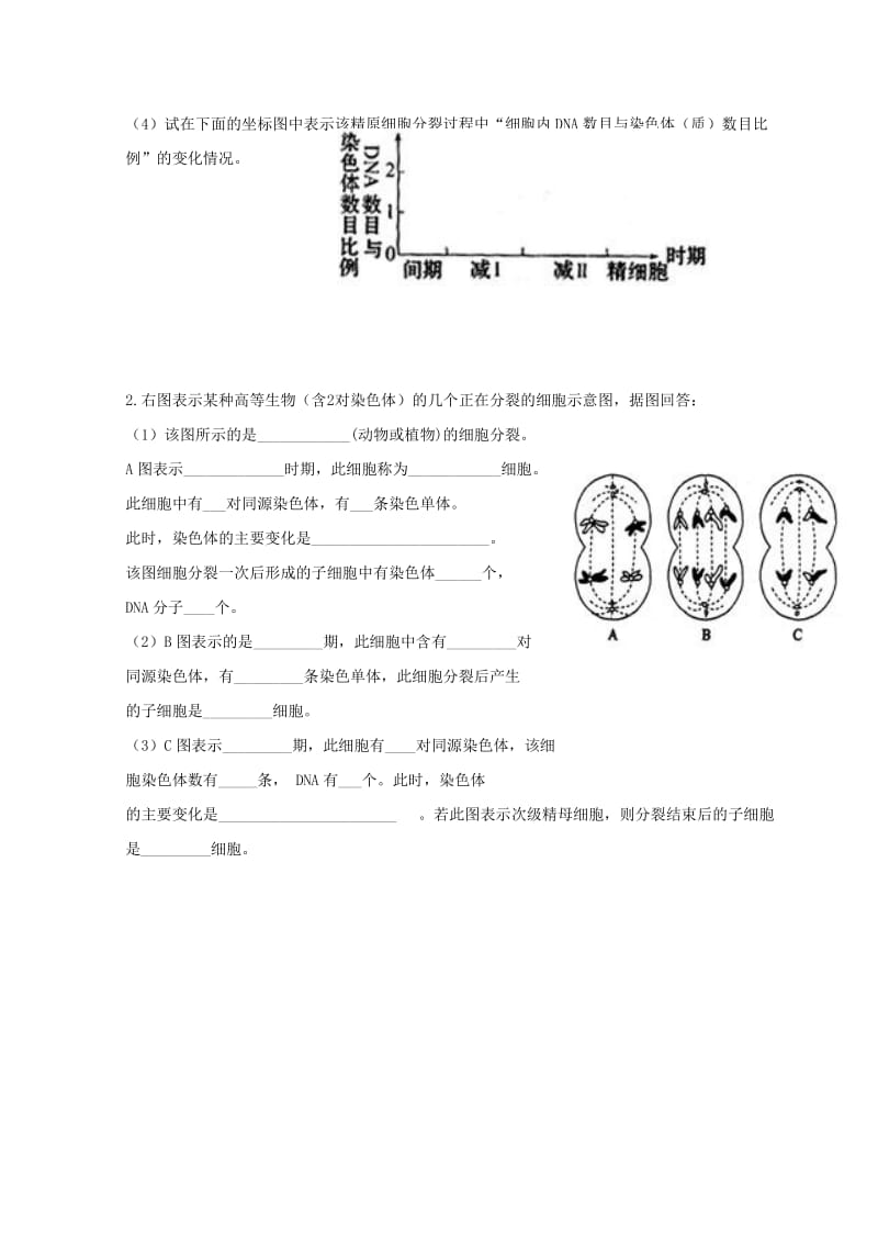 高中生物 第二章 基因和染色体的关系 第1节 减数分裂和受精作用练习新人教版必修2.doc_第3页