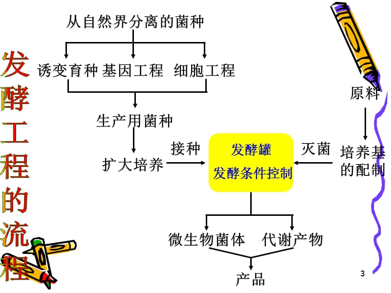 发酵流程ppt课件_第3页