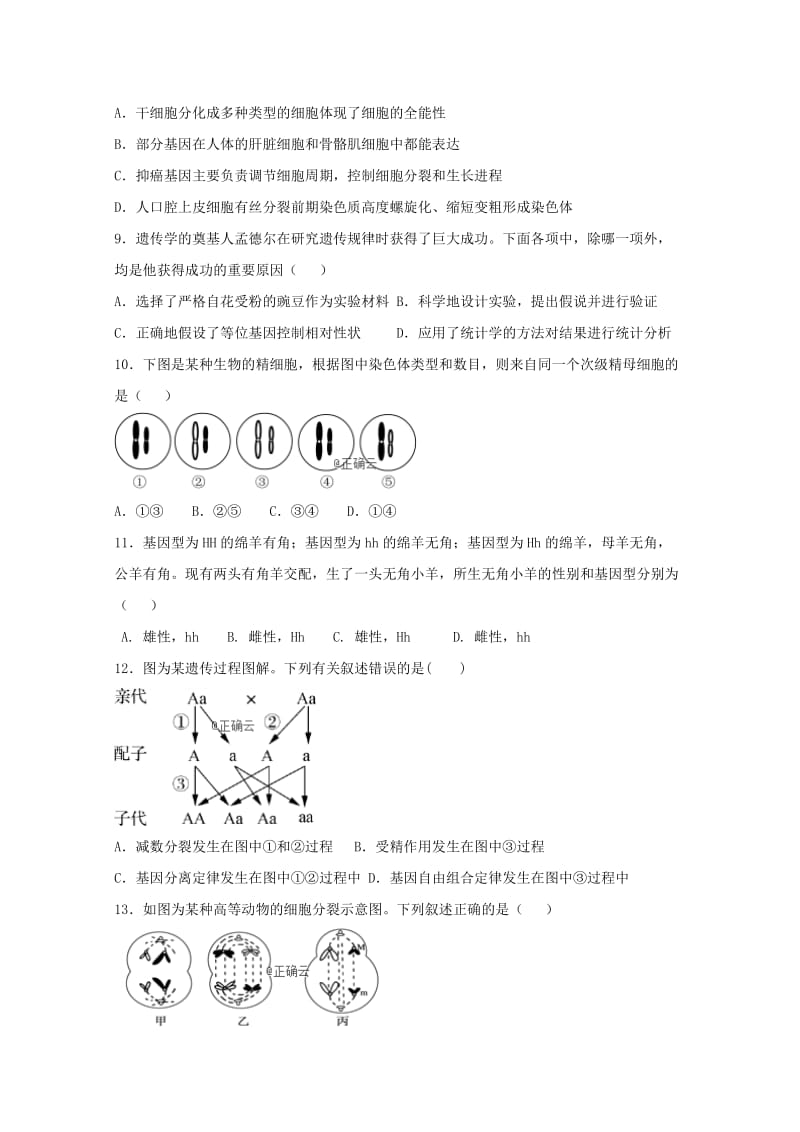 四川省广元市2018-2019学年高一生物下学期期中试题.doc_第2页