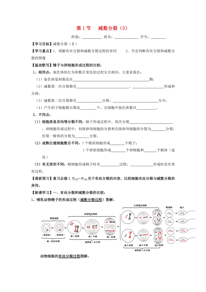 广东省佛山市高中生物 第2章 基因和染色体的关系 第1节 减数分裂（3）导学案 新人教版必修2.doc_第1页