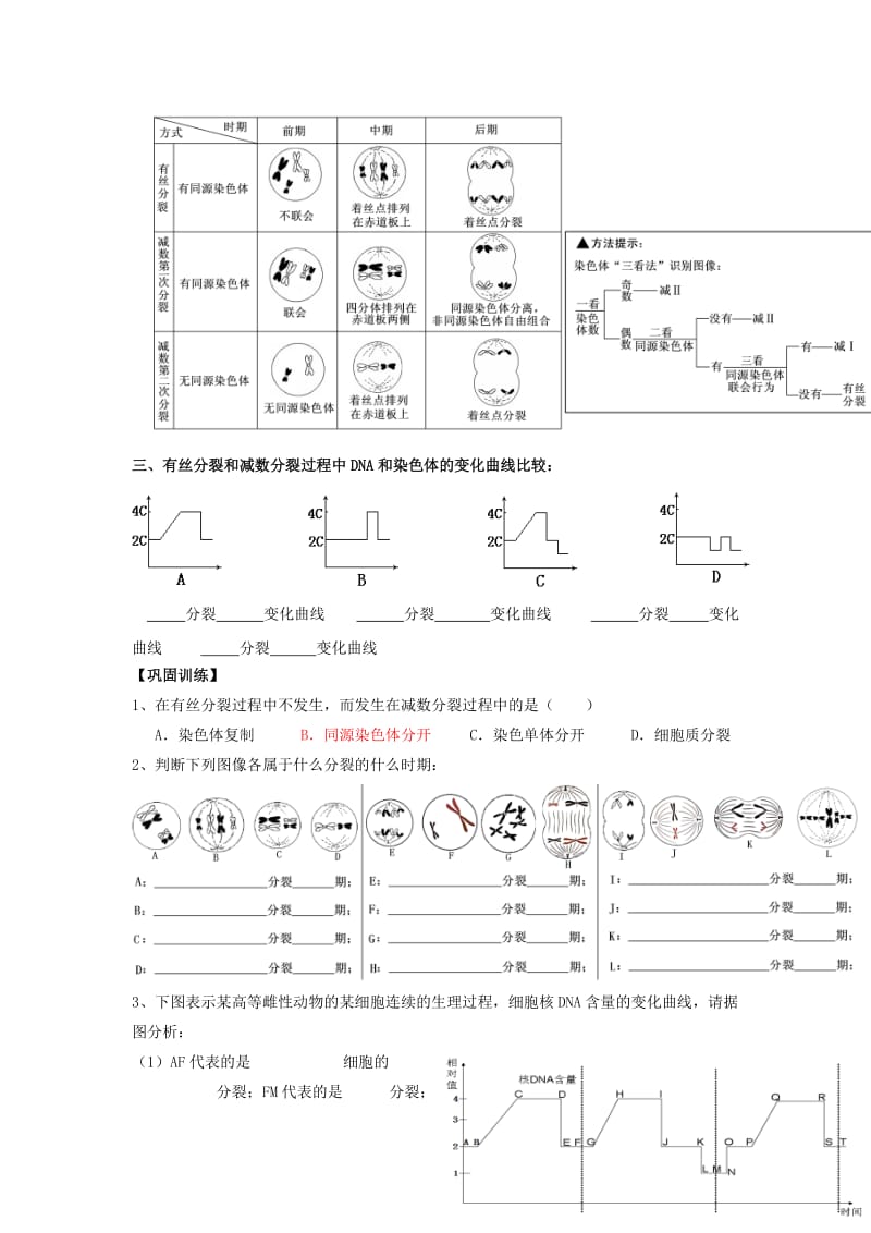 广东省佛山市高中生物 第2章 基因和染色体的关系 第1节 减数分裂（3）导学案 新人教版必修2.doc_第3页