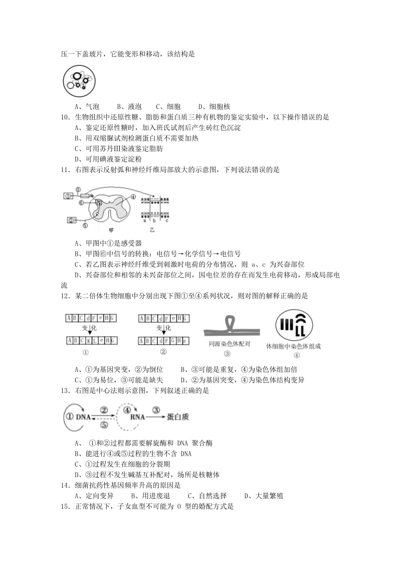 上海市松江区2019届高三生物上学期期末质量监控试题.doc_第3页