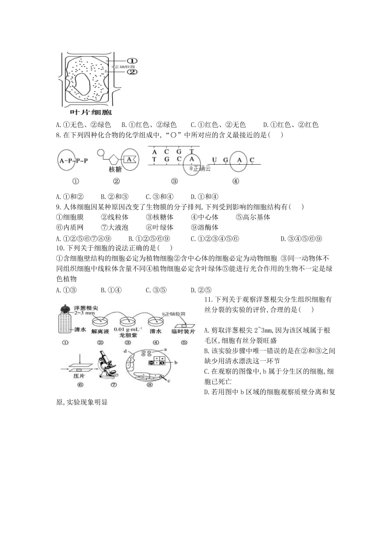 2018-2019学年高一生物上学期12月第三次双周考试题.doc_第2页