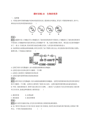 （浙江專用）2020版高考生物大一輪復(fù)習(xí) 第七部分 生物的變異與進(jìn)化 課時(shí)訓(xùn)練20 生物的變異.docx