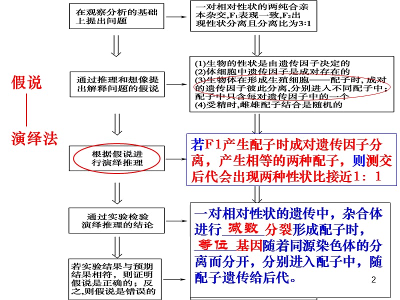 分离定律的应用ppt课件_第2页