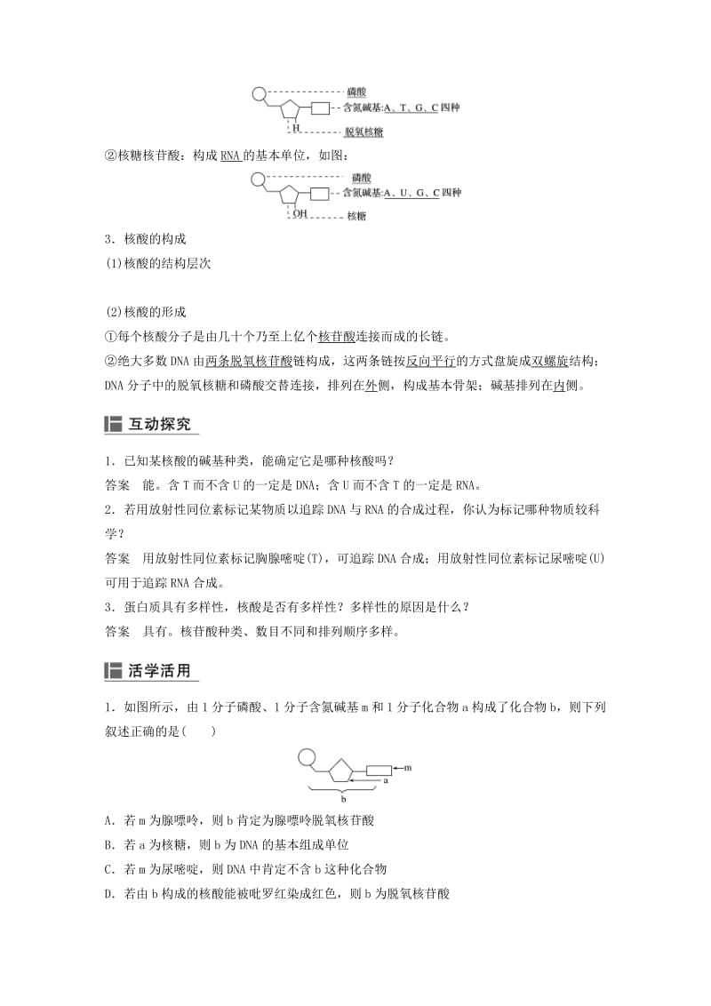 2018-2019高中生物第二章细胞的化学组成第二节细胞中的生物大分子第3课时学案苏教版必修1 .docx_第2页