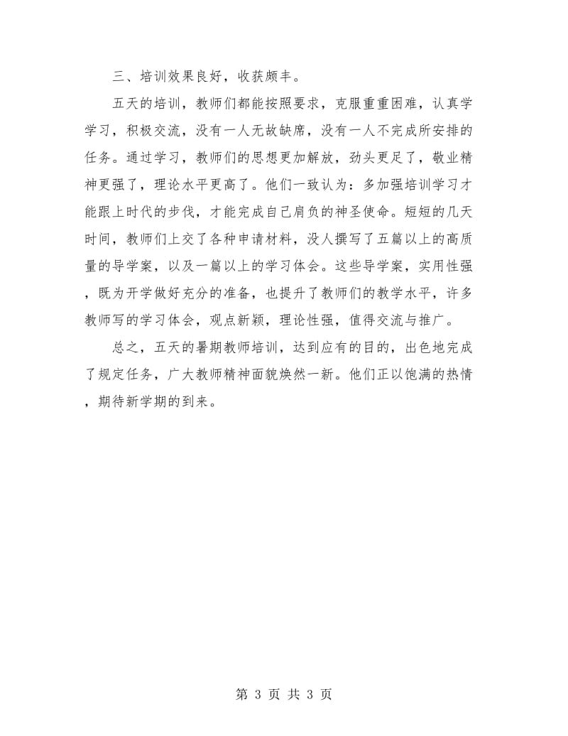 暑期教师培训活动总结.doc_第3页