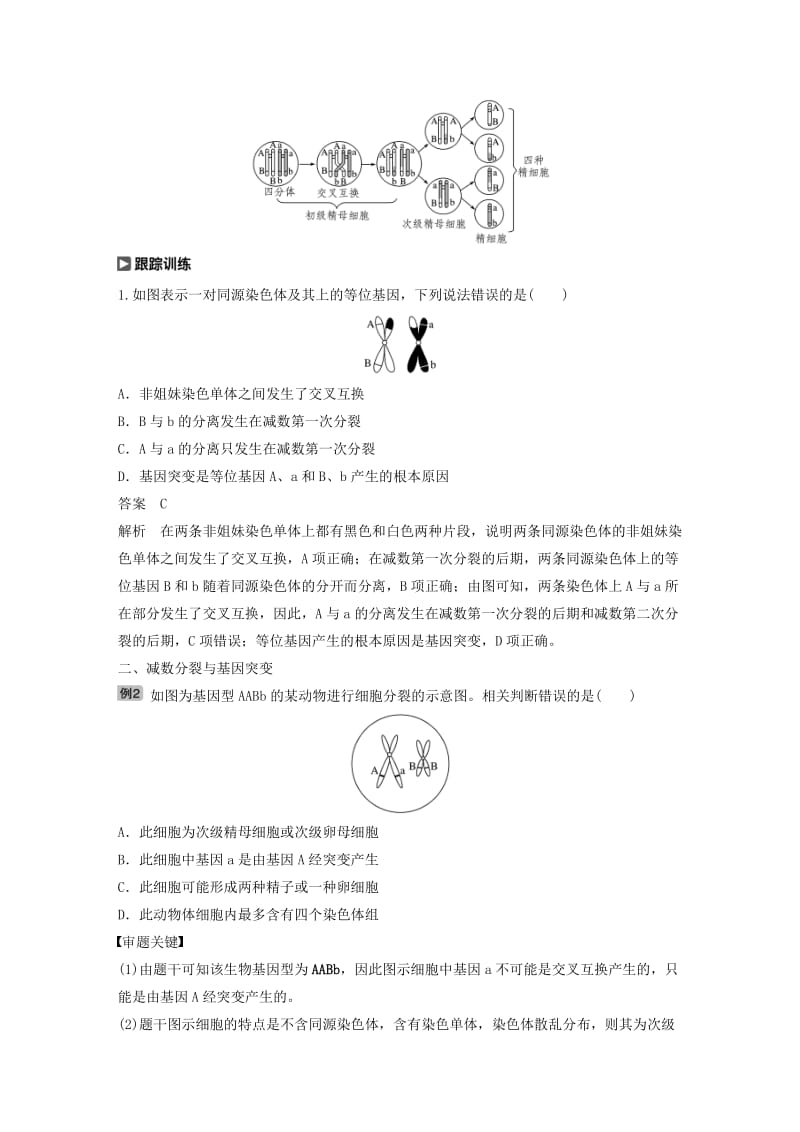 （人教通用）2020版高考生物大一轮复习 第四单元 细胞的生命历程 热点题型三 减数分裂与可遗传变异的关系分析讲义.docx_第2页