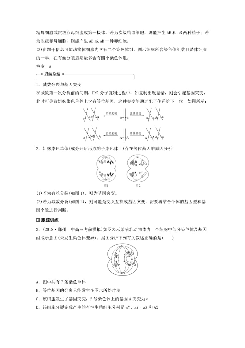 （人教通用）2020版高考生物大一轮复习 第四单元 细胞的生命历程 热点题型三 减数分裂与可遗传变异的关系分析讲义.docx_第3页