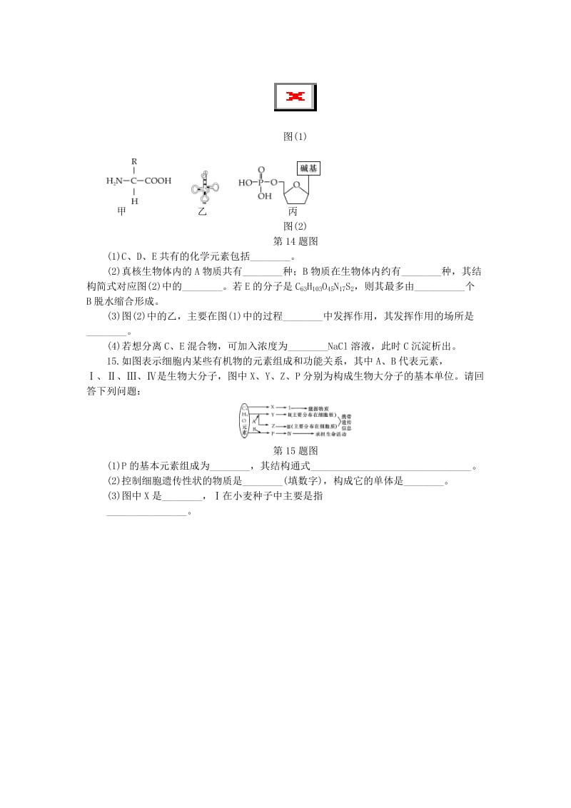 （江苏专用）2019年高考生物一轮总复习 课时作业（三）细胞中的核酸、糖类和脂质.doc_第3页