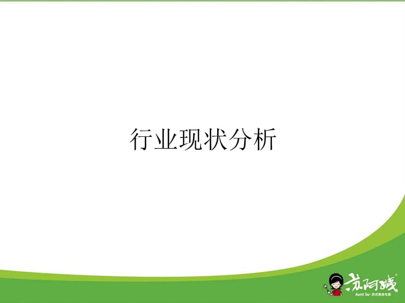 《苏阿姨品牌定位》PPT课件.ppt_第3页