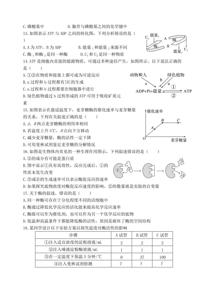 2018-2019学年高一生物上学期阶段性考试12月试题二.doc_第3页