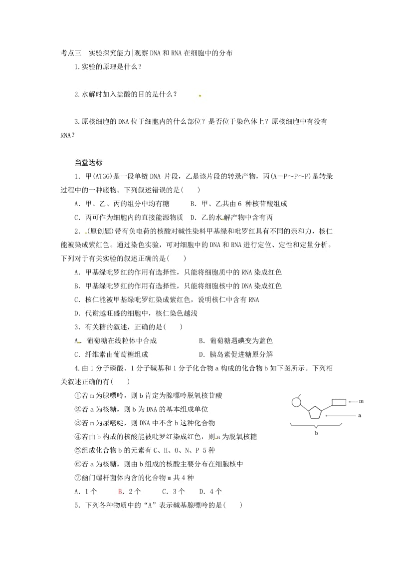 山东省平邑县高中生物 第二章 组成细胞的分子 第3、4节 核酸、糖类与脂质学案新人教版必修1.doc_第3页