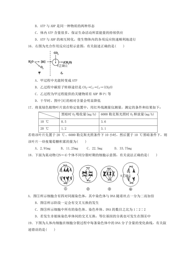 2019届高三生物12月月考试题 (IV).doc_第3页