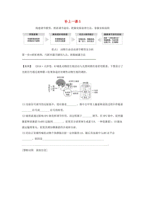 2019版高考生物大一輪復習 第八單元 生物個體的穩(wěn)態(tài) 補上一課5學案 蘇教版.doc