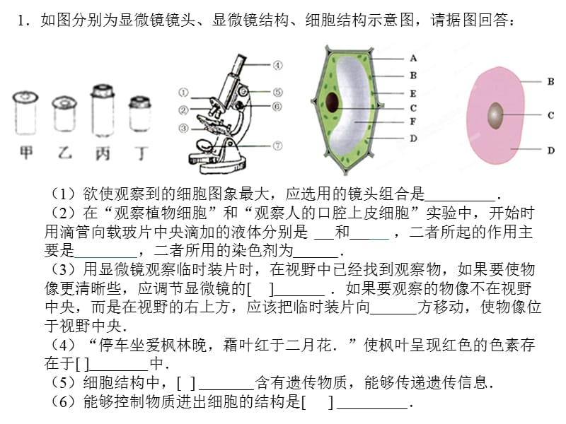 《细胞的结构和功能》测试题.ppt_第1页