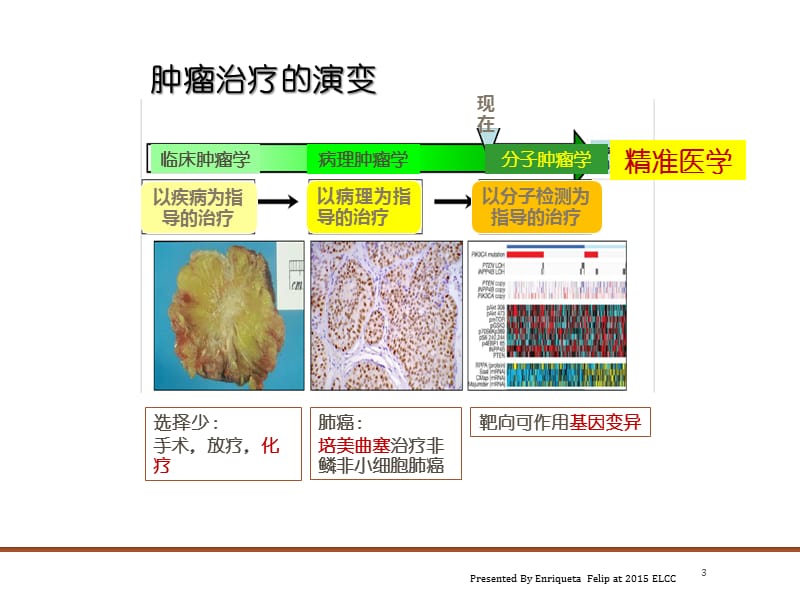 肺癌化疗进展ppt课件_第3页