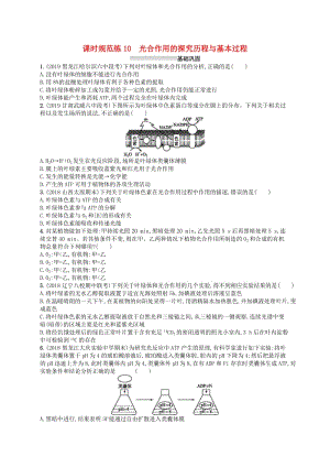 2020版高考生物大一輪復(fù)習(xí) 第3單元 細(xì)胞的能量供應(yīng)和利用 課時(shí)規(guī)范練10 光合作用的探究歷程與基本過程 新人教版.docx