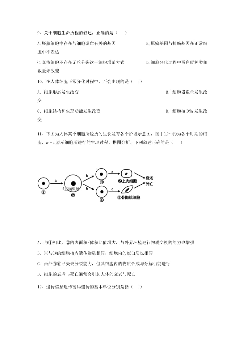 2018-2019学年高二生物10月月考试题.doc_第3页