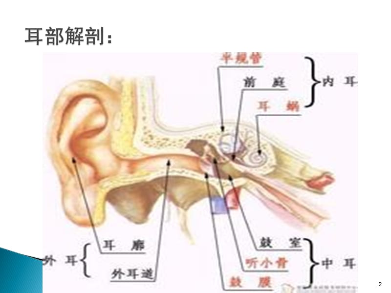 耳鼻喉科手术配合基本知识和配合技能ppt课件_第2页