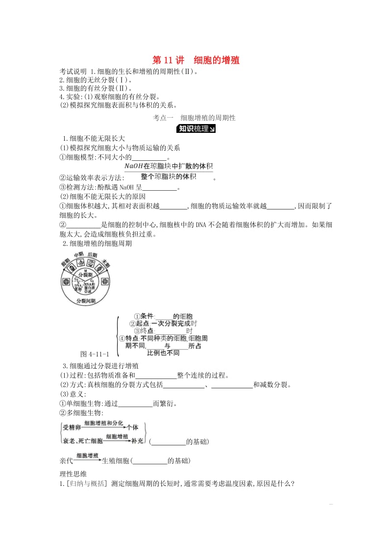 2019版高考生物一轮复习 第4单元 细胞的生命历程 第11讲 细胞的增殖学案 苏教版.doc_第1页