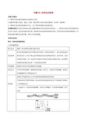 2019年高考化學一輪總復習 考點掃描 專題19 化學反應速率學案.doc