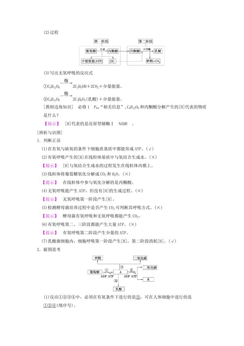 山东省2019高考生物 第3单元 细胞的能量供应和利用（2）细胞呼吸导学案（含解析）新人教版必修1.doc_第2页