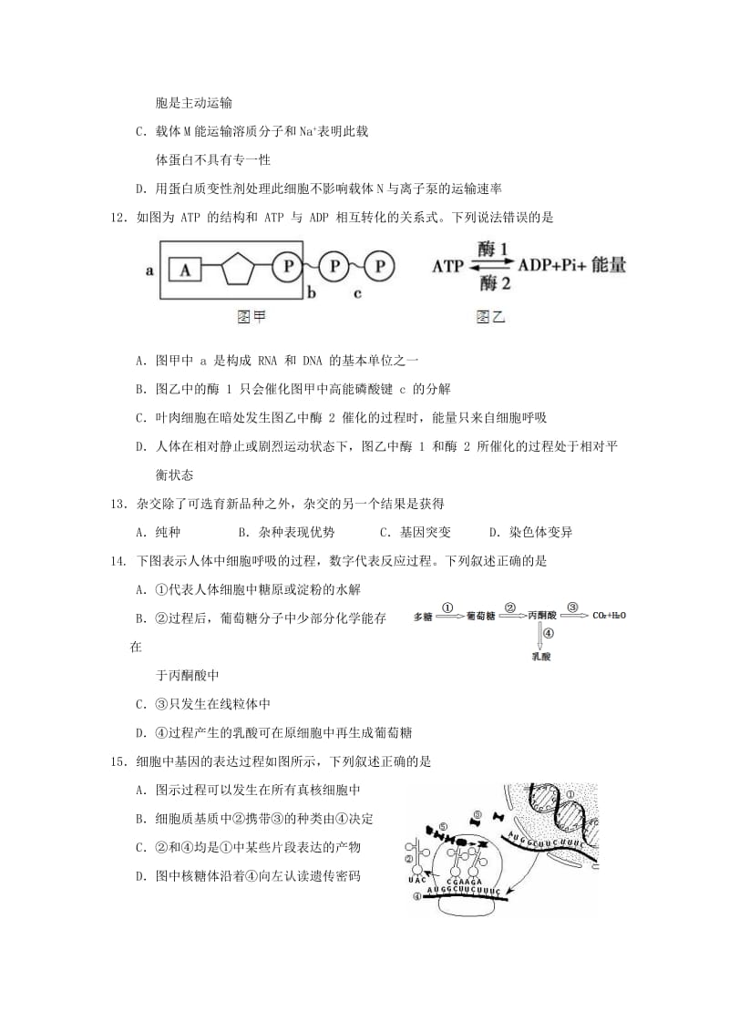 2019届高三生物11月月考试题.doc_第3页