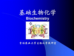 基础生物化学Biochemistry.ppt
