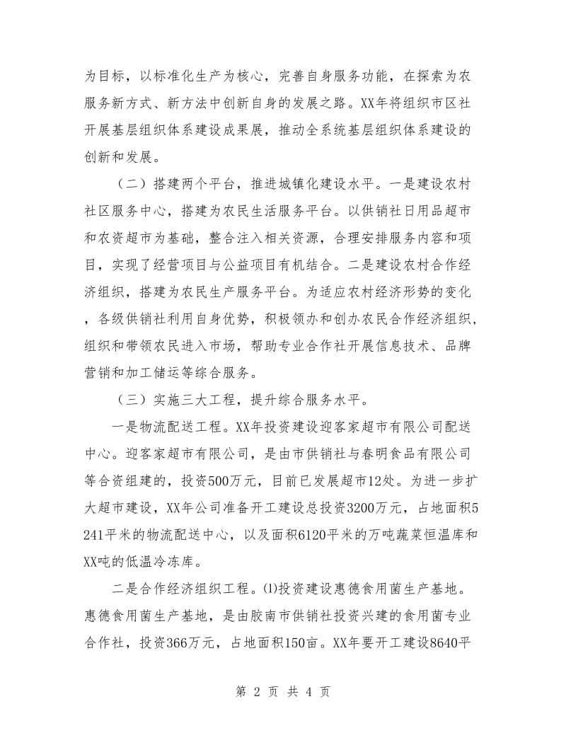 优秀供销社工作计划.doc_第2页