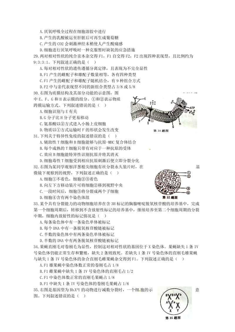 2019-2020学年高二生物4月月考试题无答案.doc_第3页