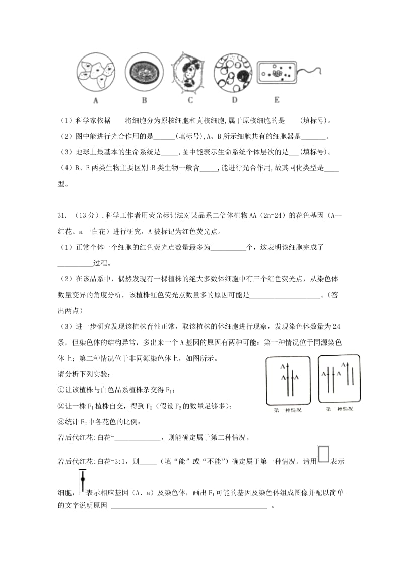 2019届高三生物9月月考试题(无答案).doc_第3页