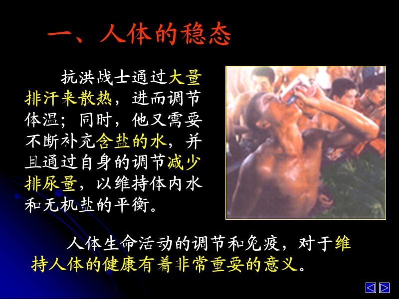 水和无机盐平衡和调节.ppt_第2页