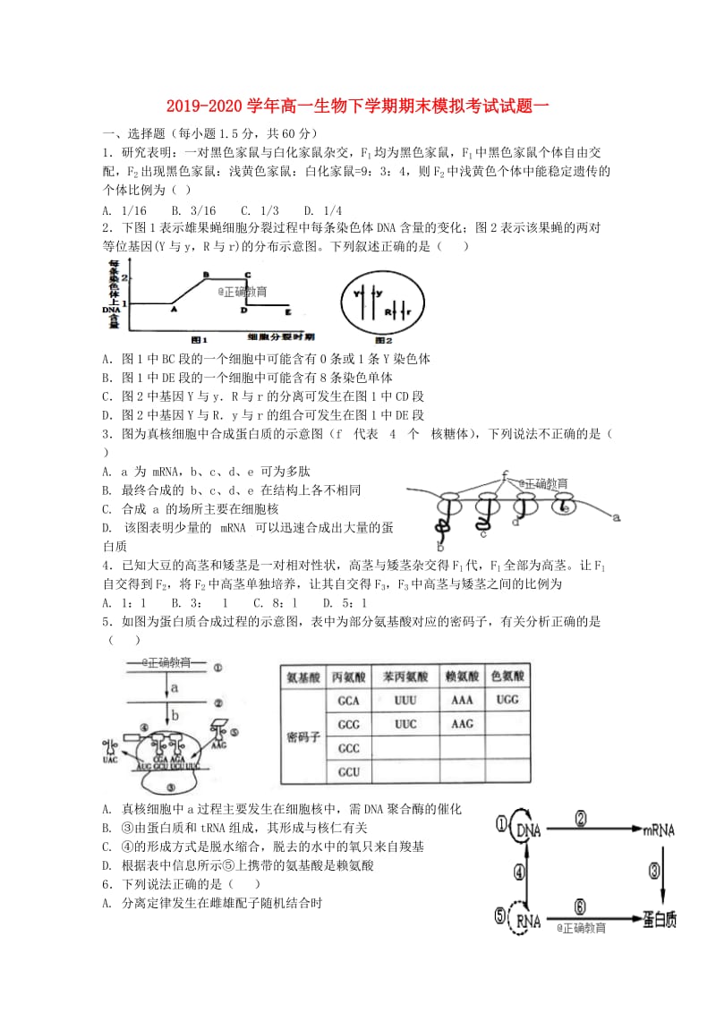 2019-2020学年高一生物下学期期末模拟考试试题一.doc_第1页