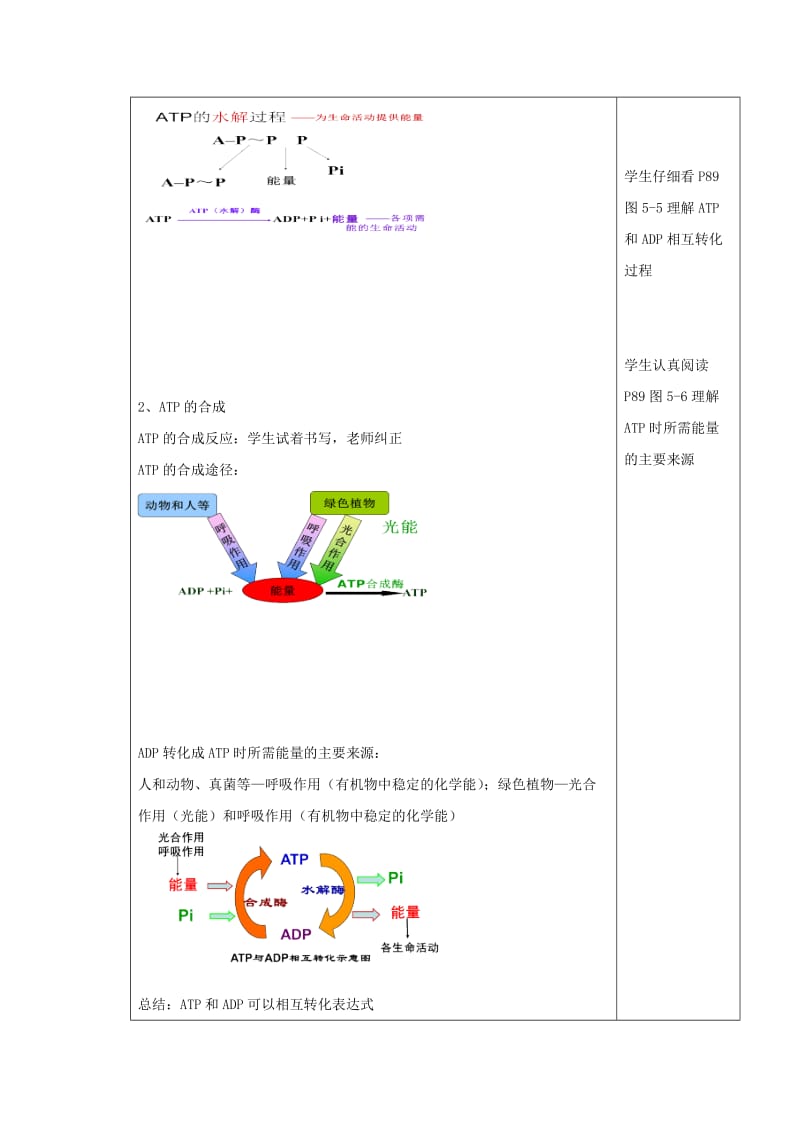 2019版高一生物上学期第15周 细胞的能量 通货-ATP教学设计.doc_第2页