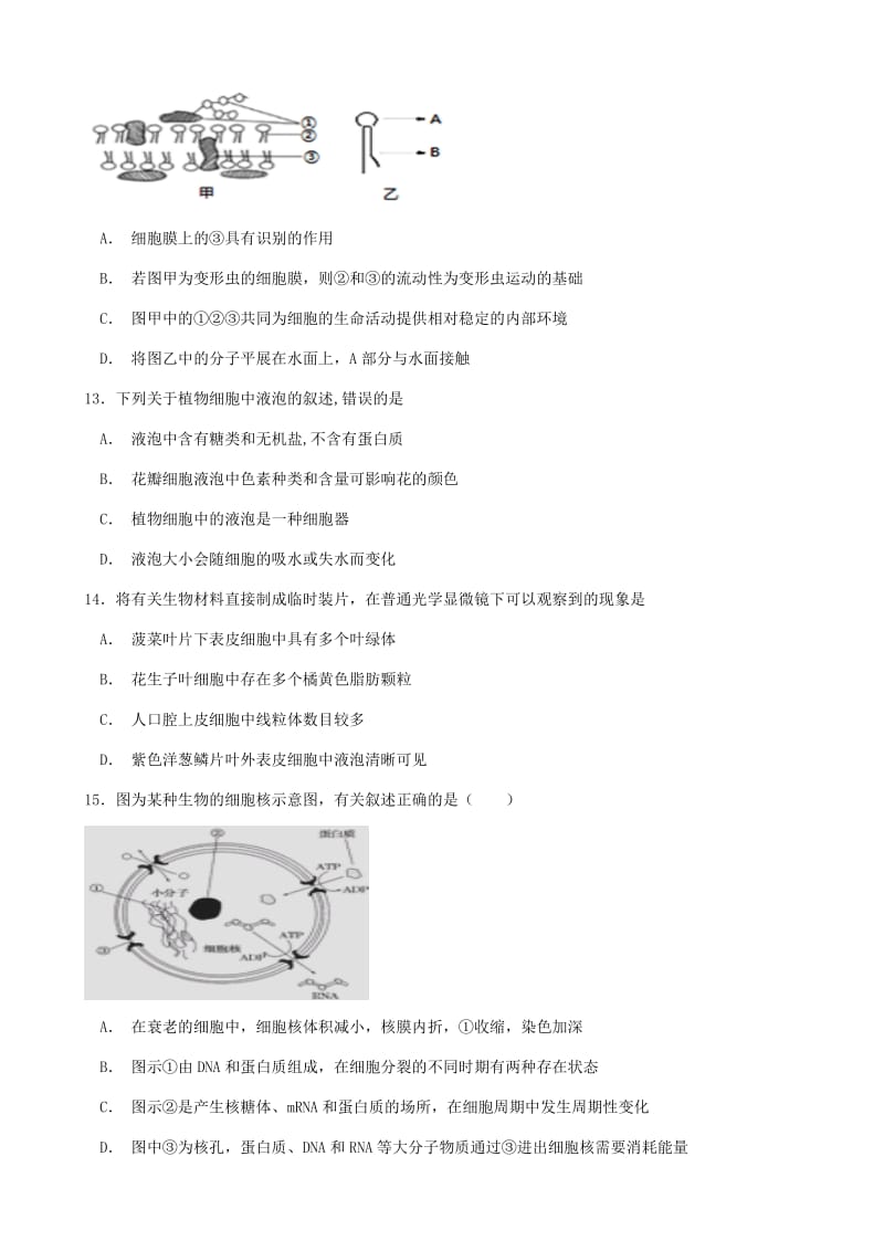 2019届高三生物上学期第二次12月月考试题.doc_第3页