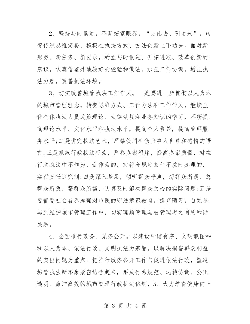 县城管执法工作整改计划.doc_第3页