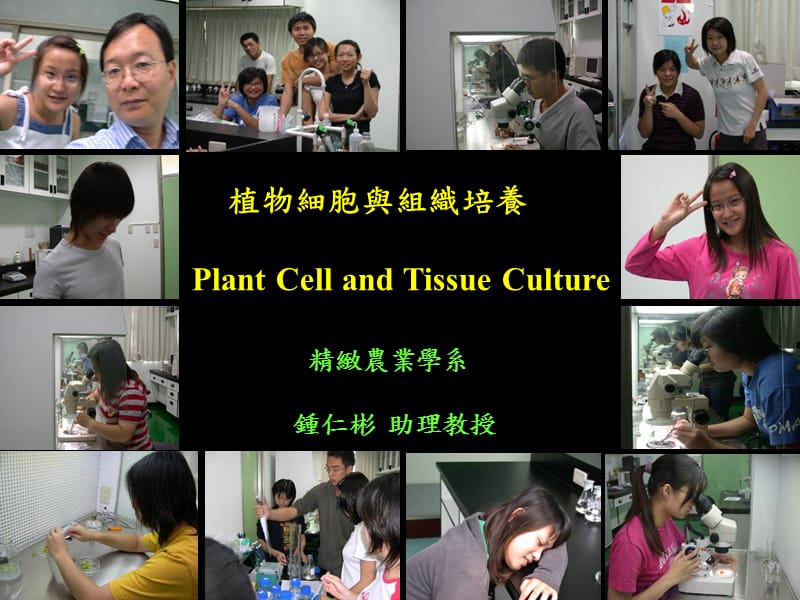 植物细胞与组织培养.ppt_第1页